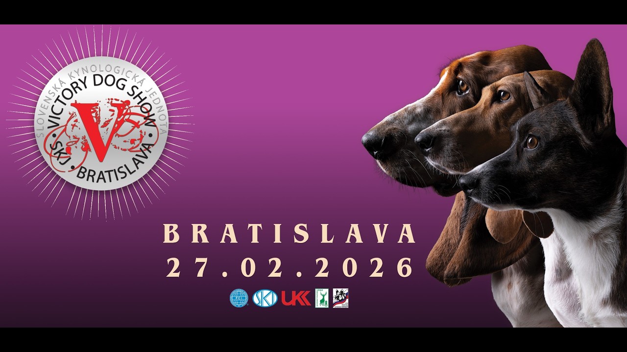 Victory Dog Show Bratislava- 27.2.2026 - Piatok