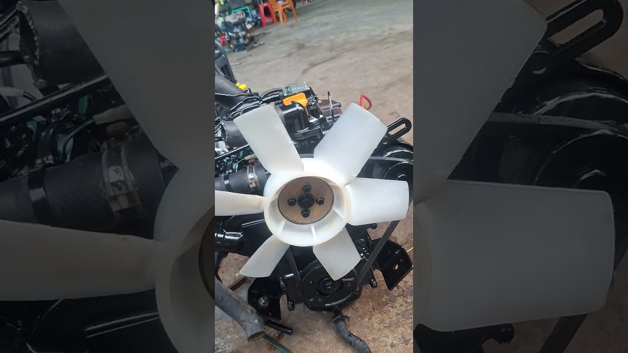 3t63 heo đỏ nghĩa địa giá  7tr500 cộng sip ae cần lh  0774446358