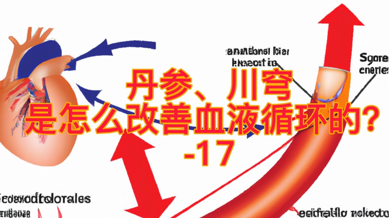 丹参、川芎是怎么活血化瘀的|了解 丹参、川芎在中医中活血化瘀的作用
