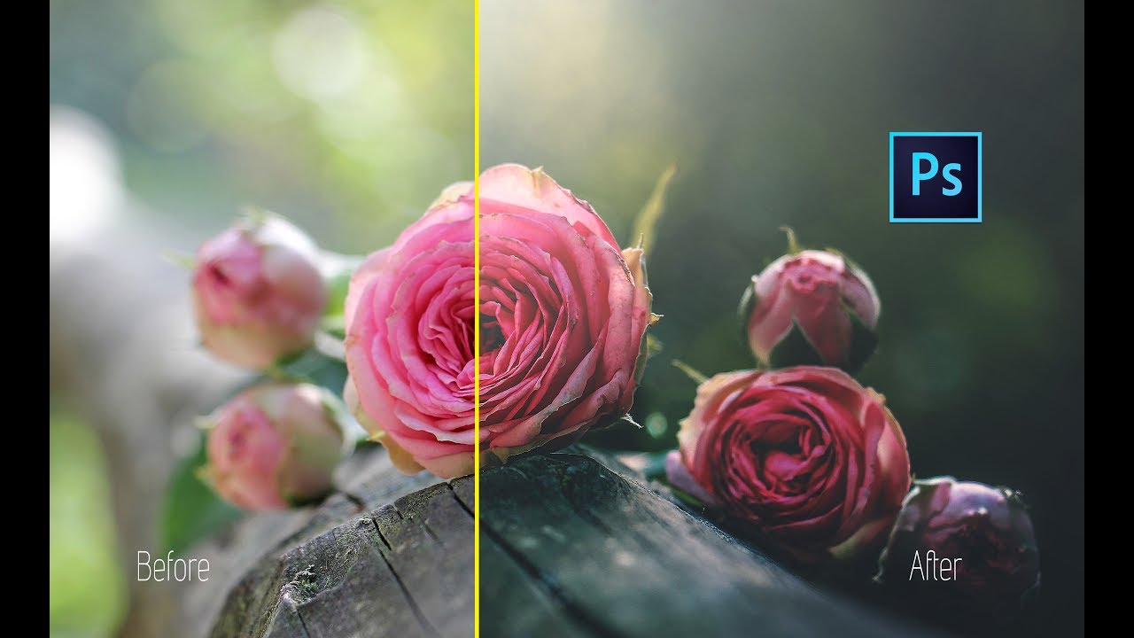 Photoshop: How To Edit Macro Photography in Photoshop CC