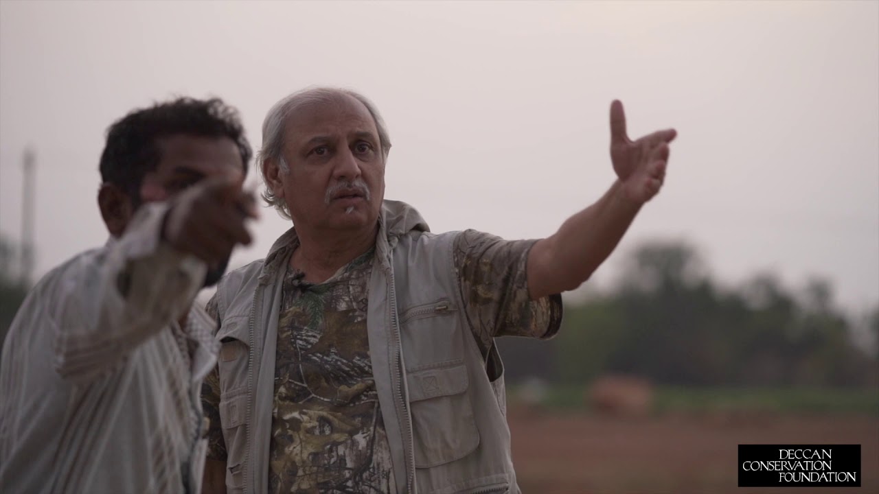 This is the Deccan  :  Episode 1   :  The Great Indian Bustard