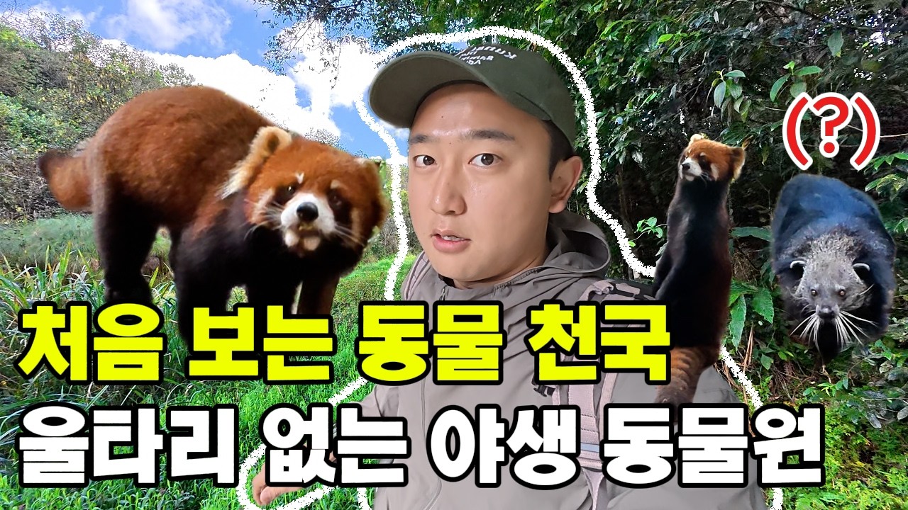 레서판다부터 쿼카까지, 근데 넌 누구니? 처음 보는 동물 천국 [운남 푸얼 대양하삼림공원]