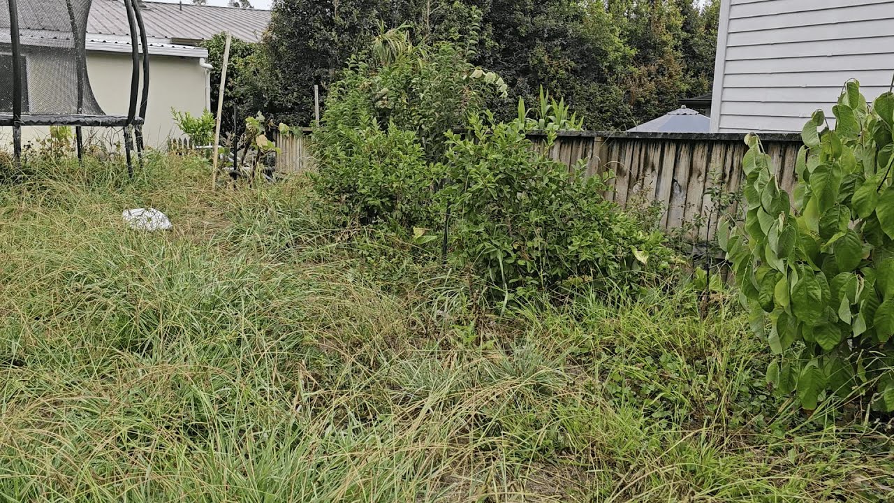 The Owner Was SPEECHLESS After Watching Us Work | A HUGE Transformation