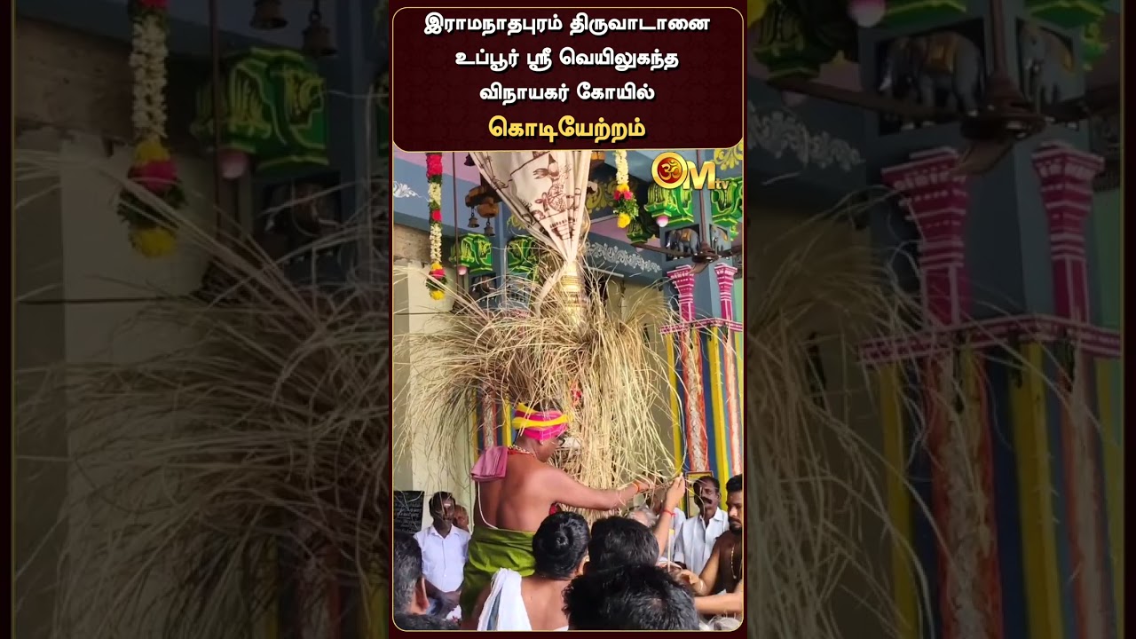 இராமநாதபுரம் திருவாடானை உப்பூர் ஸ்ரீ வெயிலுகந்த விநாயகர் கோயில் கொடியேற்றம் | Ramanathapuram | OM TV