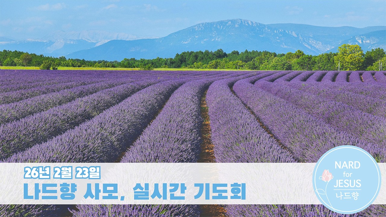 26/02/23 나드향 사모, 실시간 기도회
