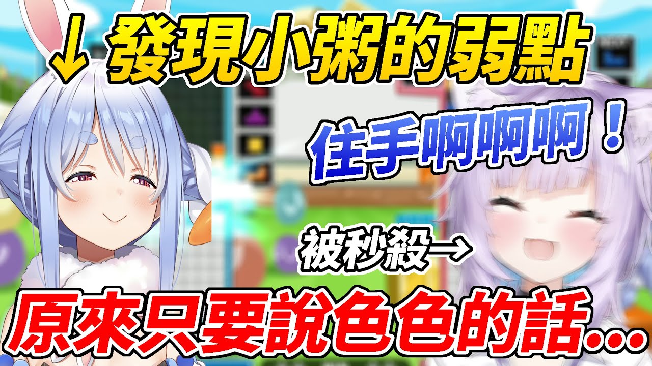 族長發現了雌貓小粥意外的弱點【兔田佩可拉／貓又小粥】【ホロライブ切り抜き】【HOLOLIVE中文】
