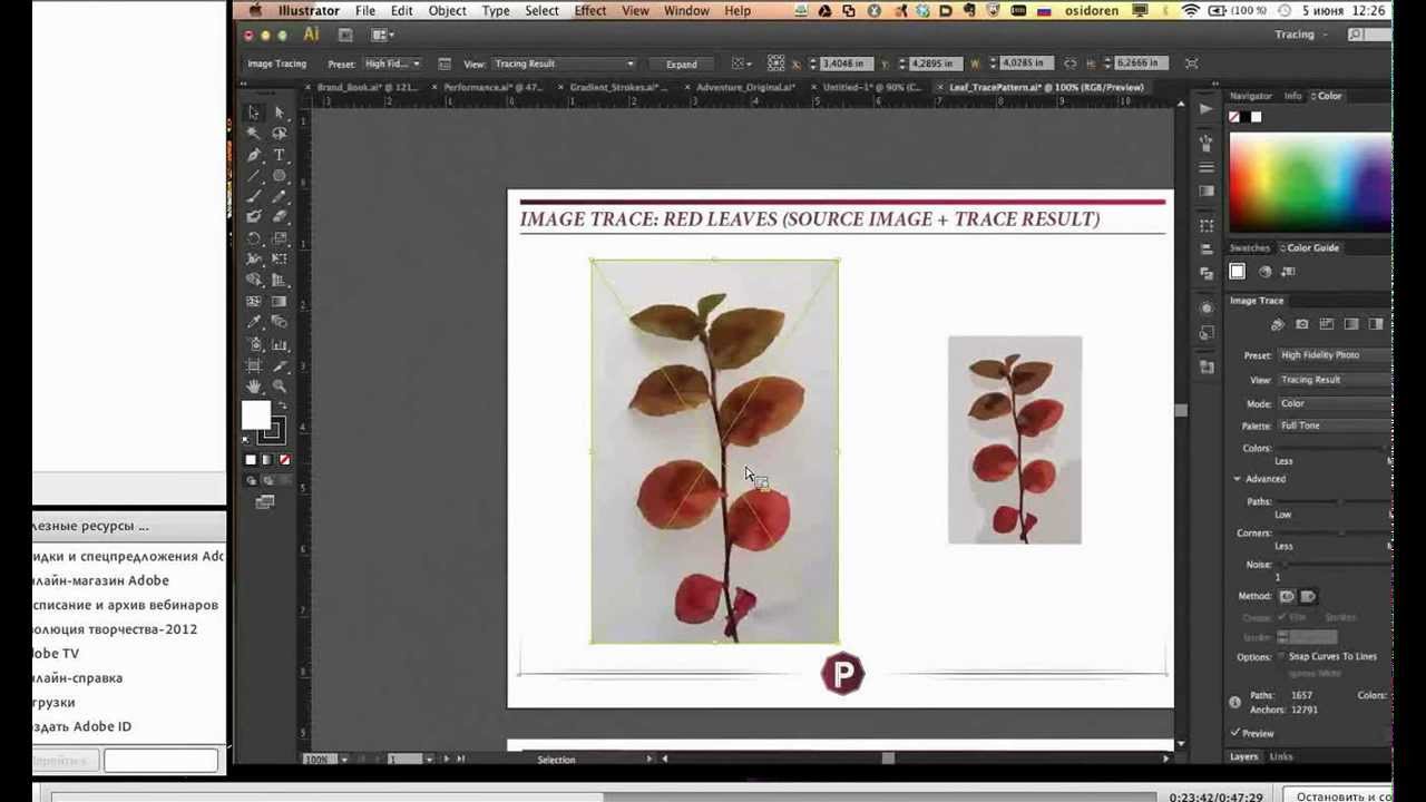 Adobe Illustrator CS6 флагман векторной графики.