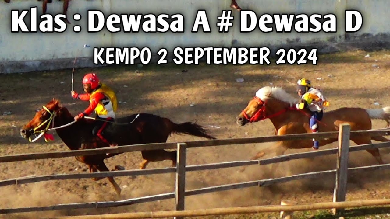 Klas Dewasa A #Dewasa D!!! pacuan kuda kempo 2 September 2024