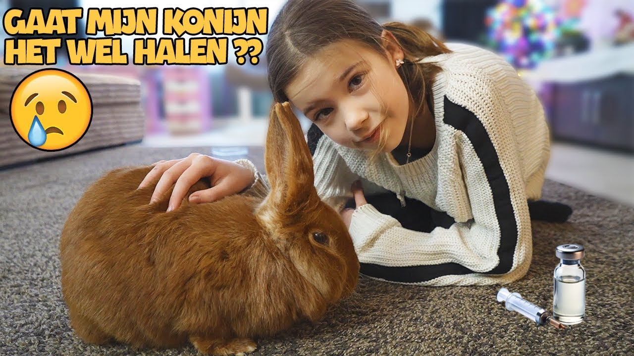 ONS KONIJN IS ERG ZIEK EN WORDT MISSCHIEN NIET BETER 🥹