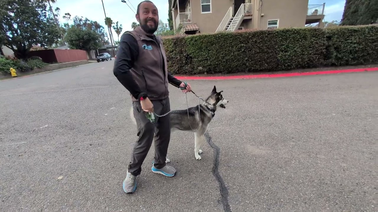 January 23, 2026 dog training 1/2