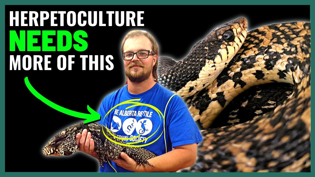 Why we DESPERATELY need MORE Herpetological Societies | Brandon Millichamp