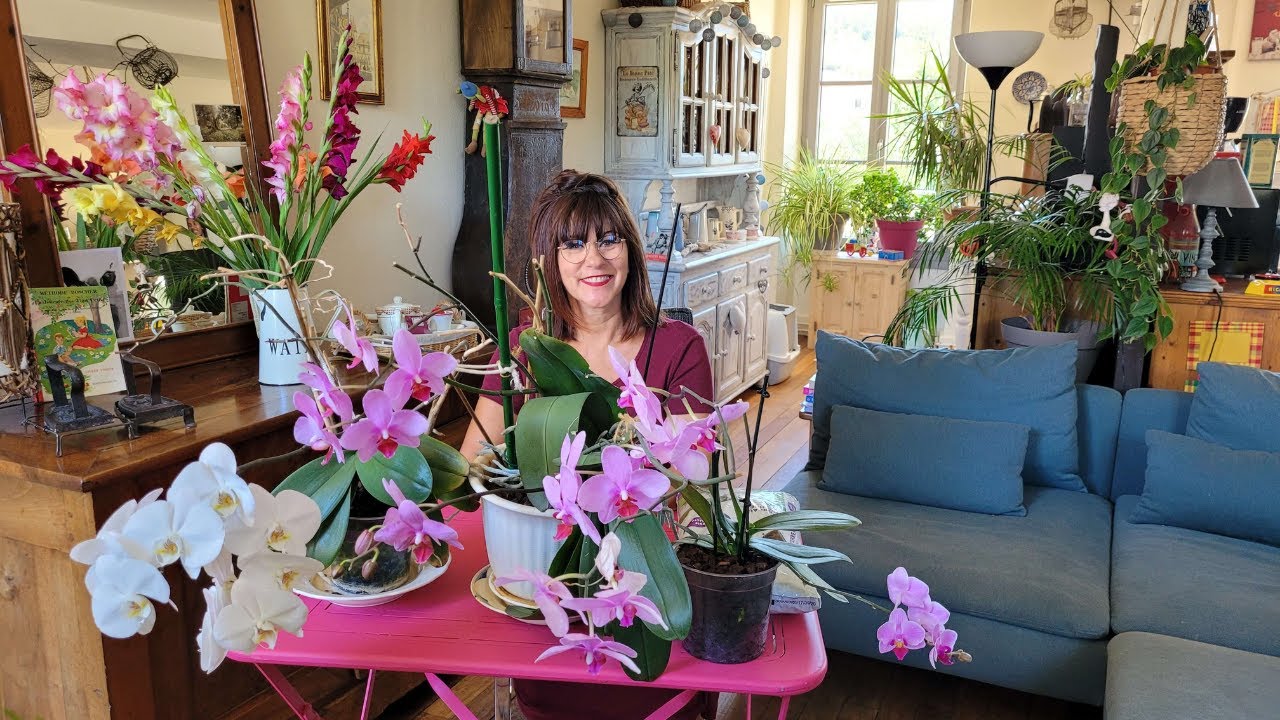 Comment faire (re)-fleurir une orchidée ?  Entretien et conseils