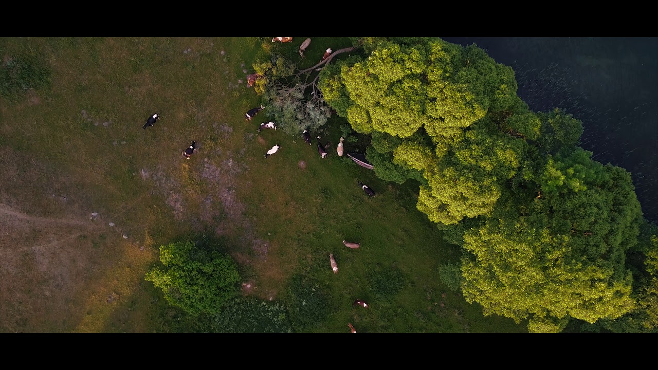 Suwalszczyzna 2018 - Film promocyjny z lotu ptaka