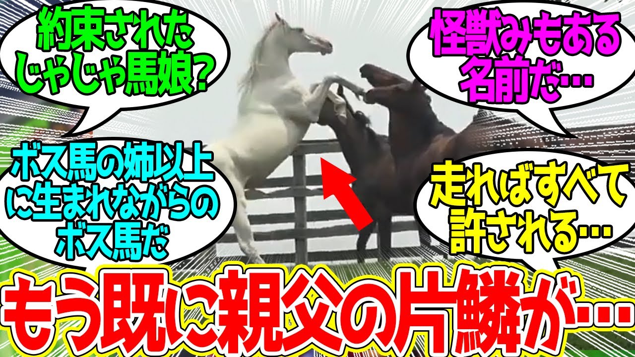 サトノジャスミンの23の名前は「〇〇」に決定！ ← 姉以上に衝撃的な名前が付くとは…に対するみんなの反応！【競馬 の反応集】
