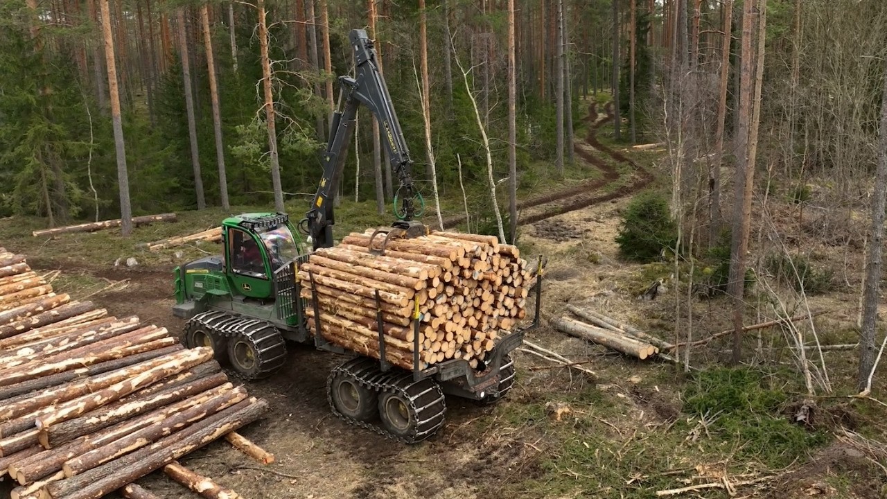 Rallykillen Tony om jobbet som skotarförare