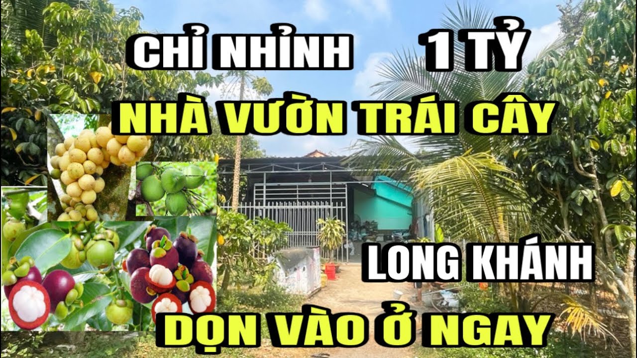 Chính chủ bán gấp nhà vườn, đủ loại trái cây, thổ cư, phường bình lộc, Long Khánh