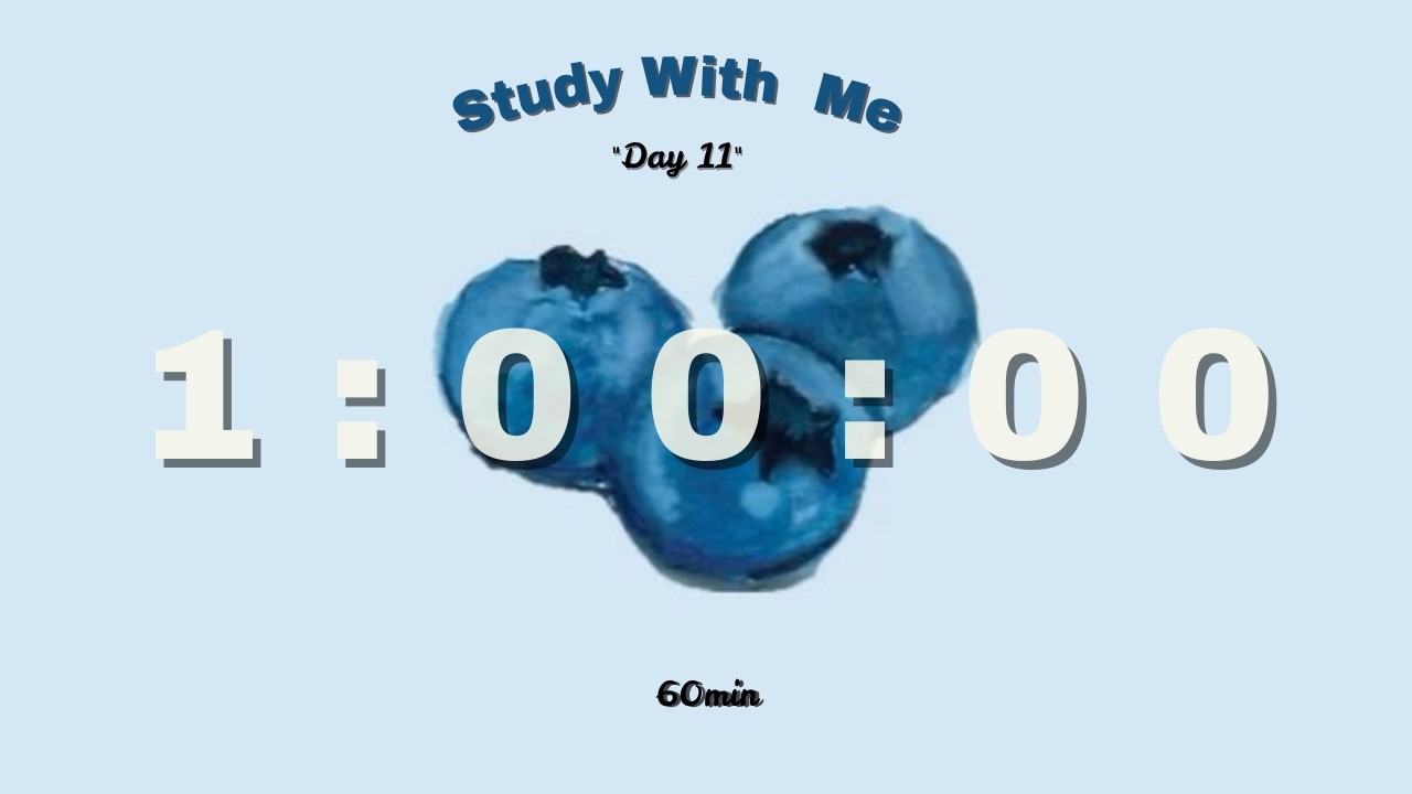 Day 11: 1 Hour Deep Focus 🫐 | Blueberry Aesthetic | No Breaks | Memo Study