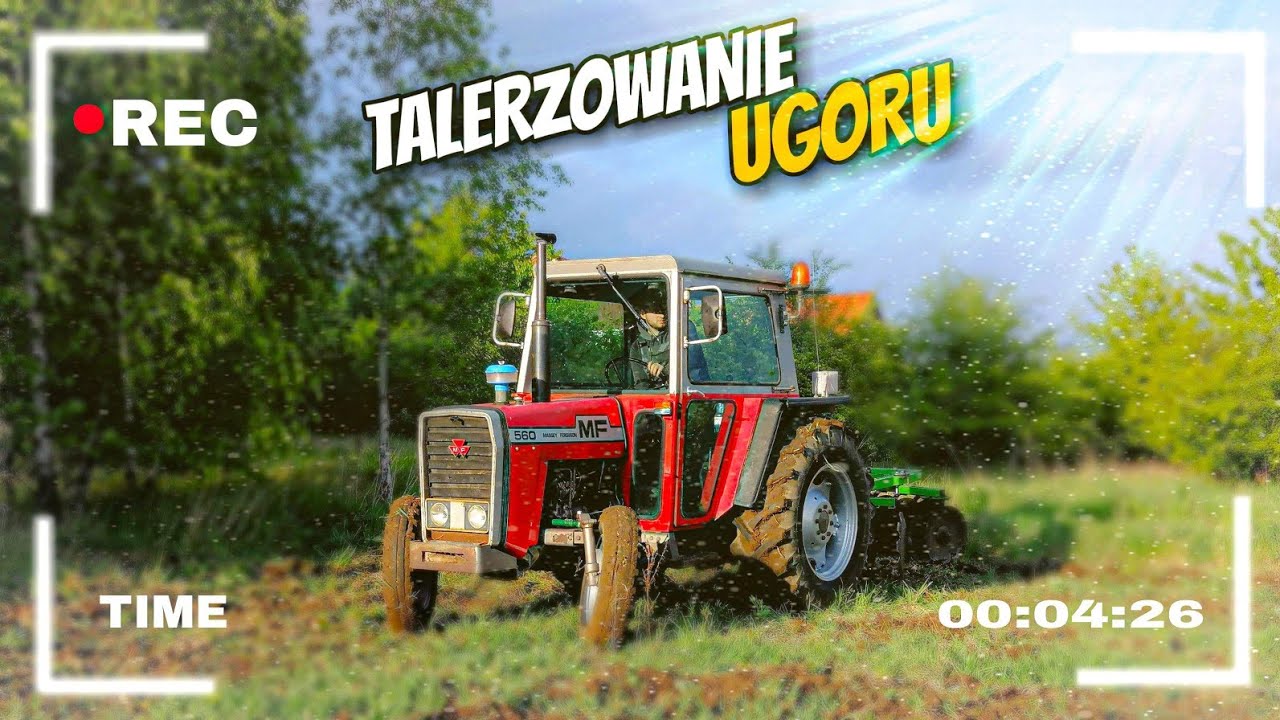Talerzowanie ugoru 2020!!||Massey Ferguson 560|| Agro Zetor Śląsk