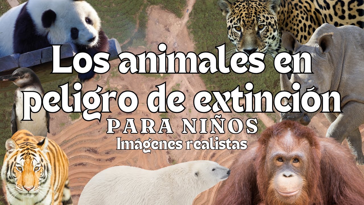 Los Animales en Peligro de Extinción  - Videos Educativos - Montessori Momers