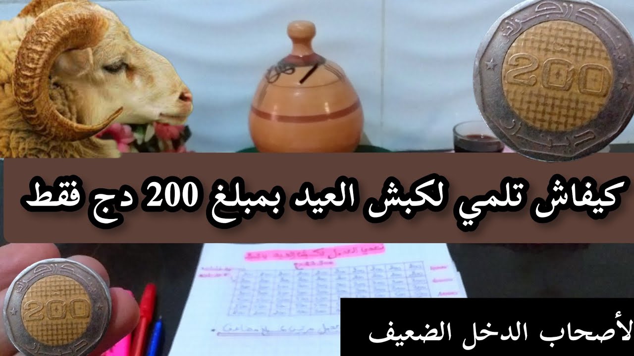 أرواحي نقولك كيفاش تلمي لكبش العيد 2024🐏بتحدي 200دج فقط...تحدي صغير تجمعي مبلغ كبير... تحدي الحصالة