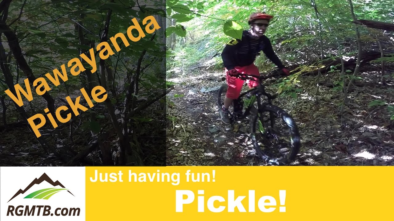 Where to mountain bike? - Wawayanda State Park Pickle Trail