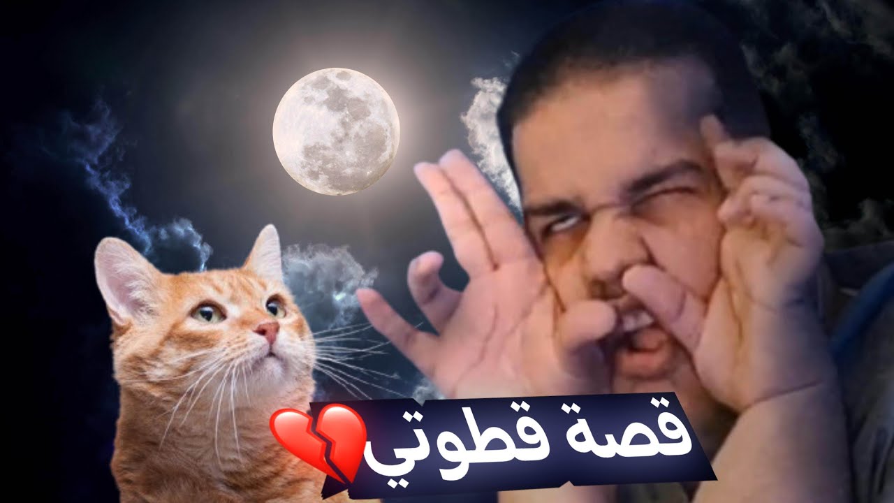 😞 جابت اربعه كلهم توفوا