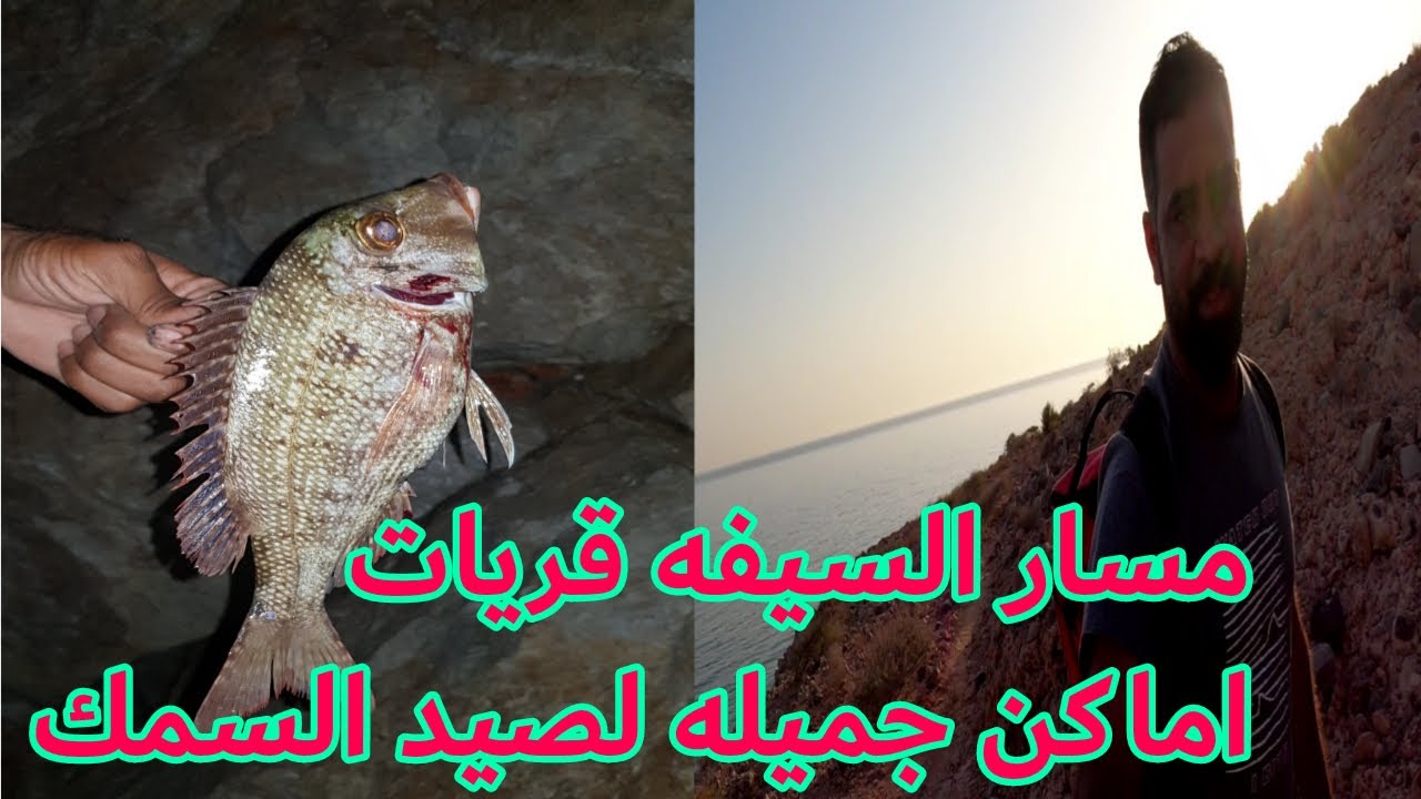 #مسار السيفه قريات