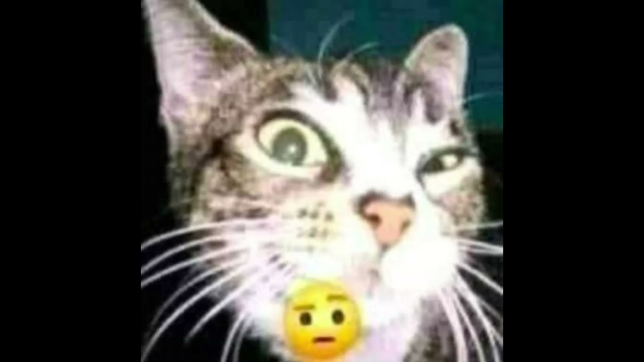 K word