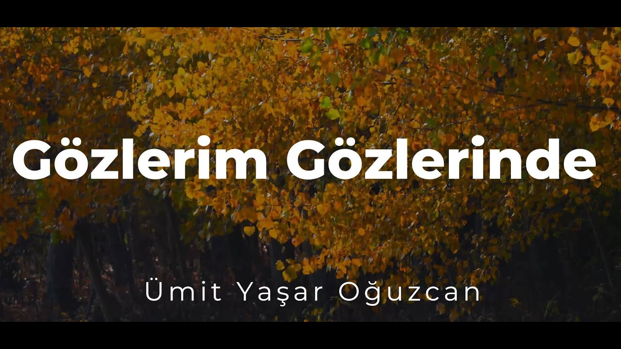 Gözlerim Gözlerinde - Ümit Yaşar Oğuzcan (Şiir)