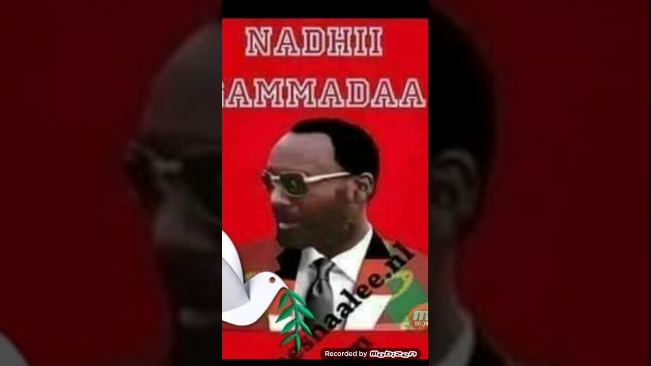 Abbaan Iyyatu malee ollaan namaa hin birmatu. Nadhiin eessa jira?