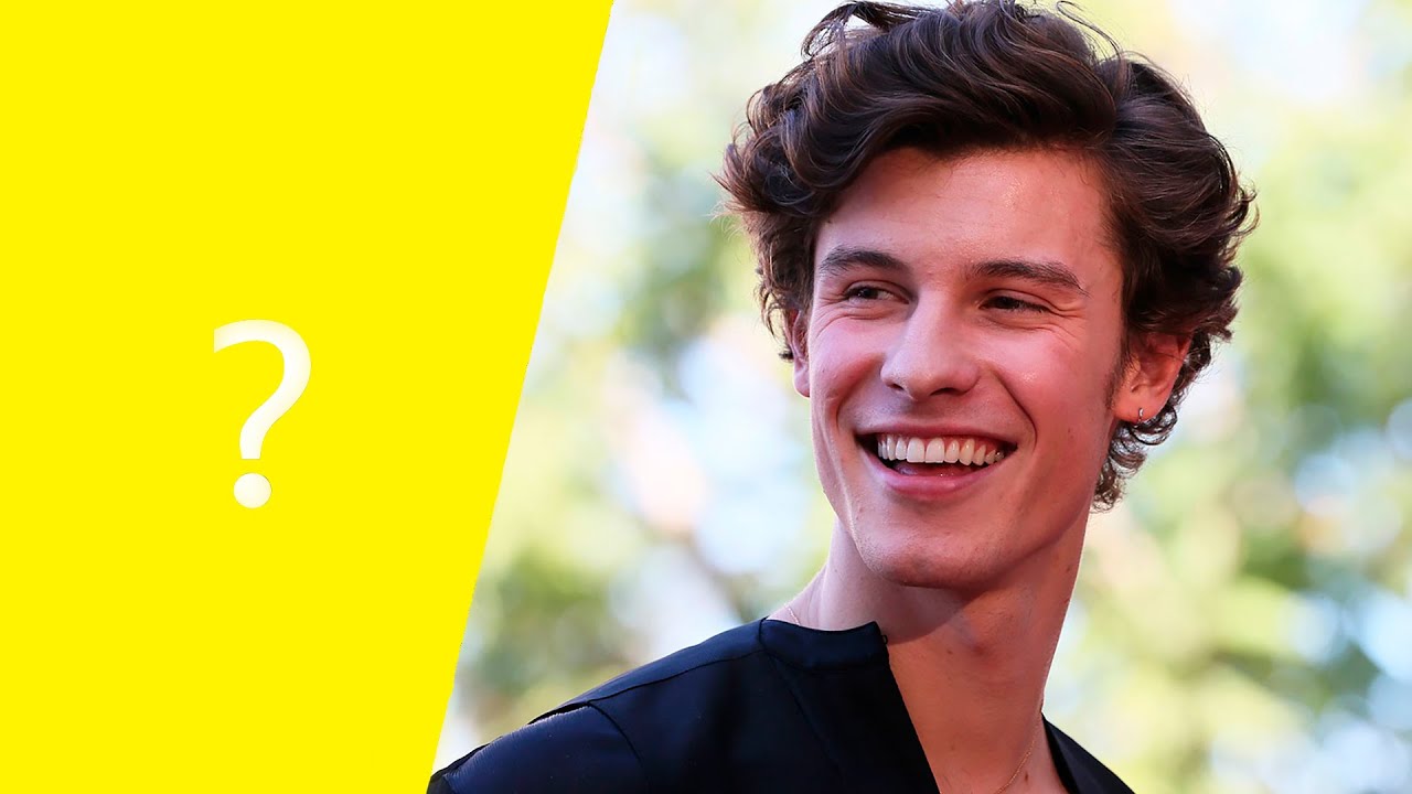 Guess The Song - Shawn Mendes 0,5 SECONDS #1
