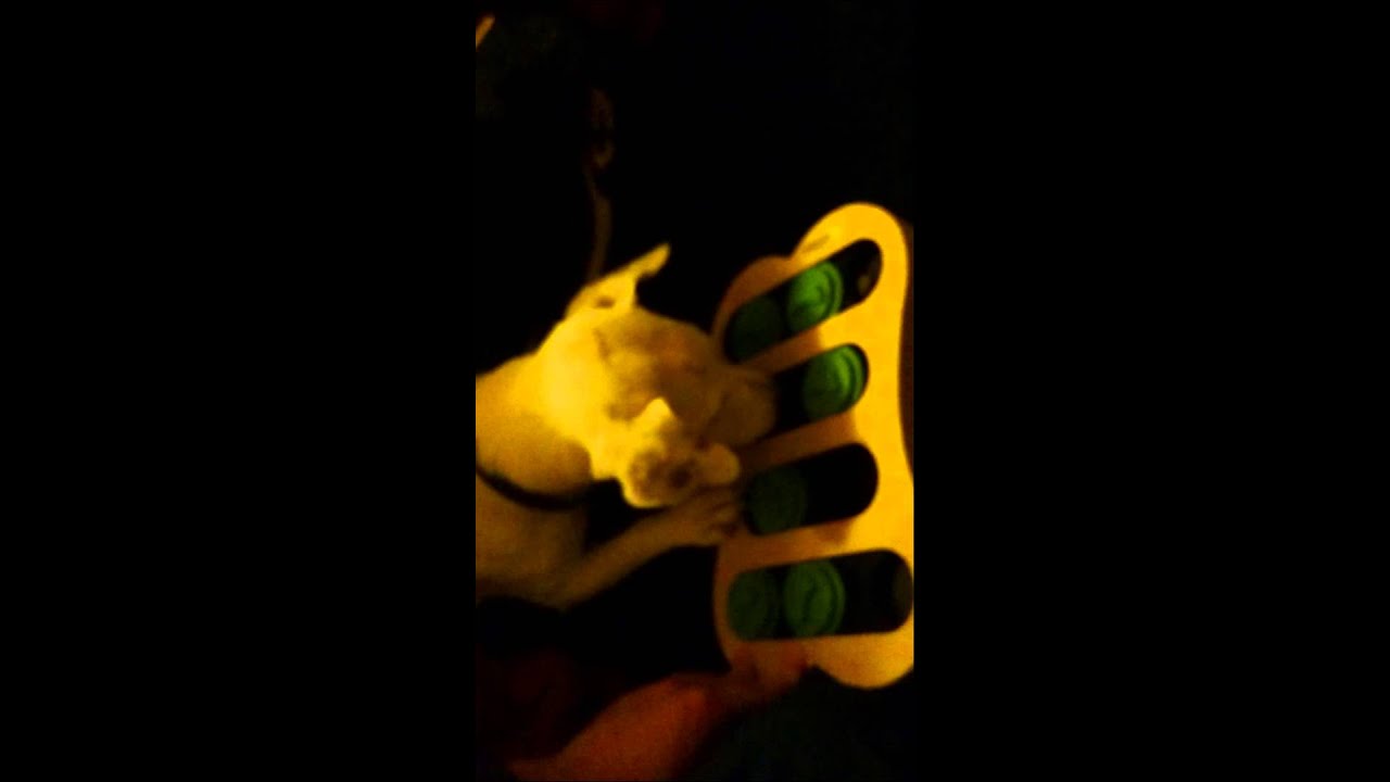 IQuties bone slots