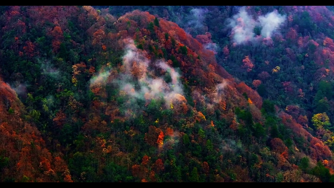 Relaxing & Healing Meditation