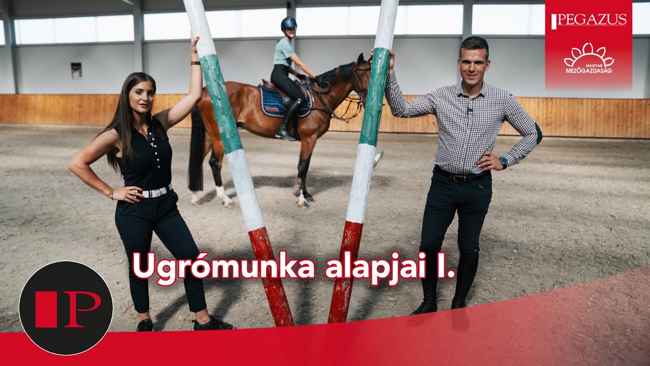 Távolság és ütem gyakorlása Ifj. Szabó Gáborral | Pegazus Online Magazin