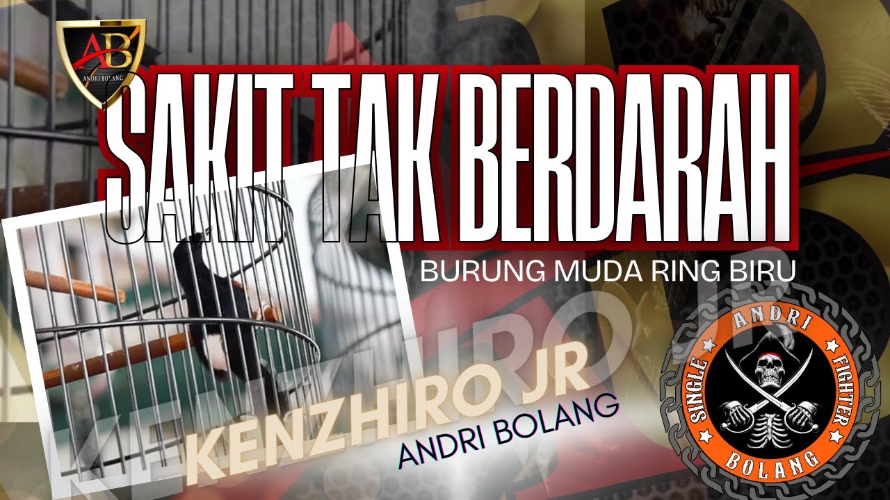 Nyaris Sempurna! Kenzhiro JR Ring Biru - Tapi Terpeleset Saat Performa | Piala CEO Prasasti 2026
