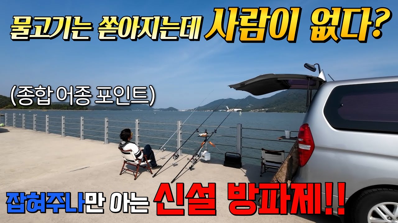 대형 방파제가 새로 생겼다!! 어종이 종류별로 쏟아지네~! 대박!! 혹시 가오리니?!