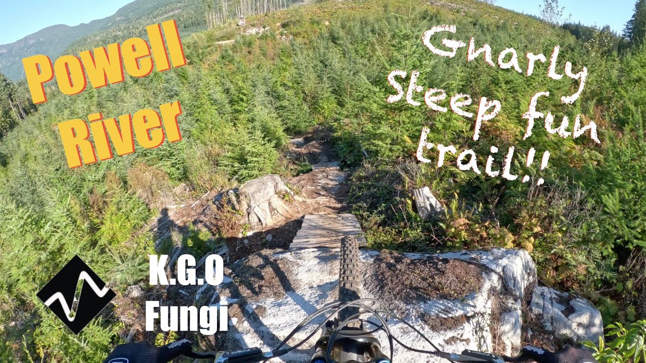 Mountain Biking in Powell River KGO and Fungi
