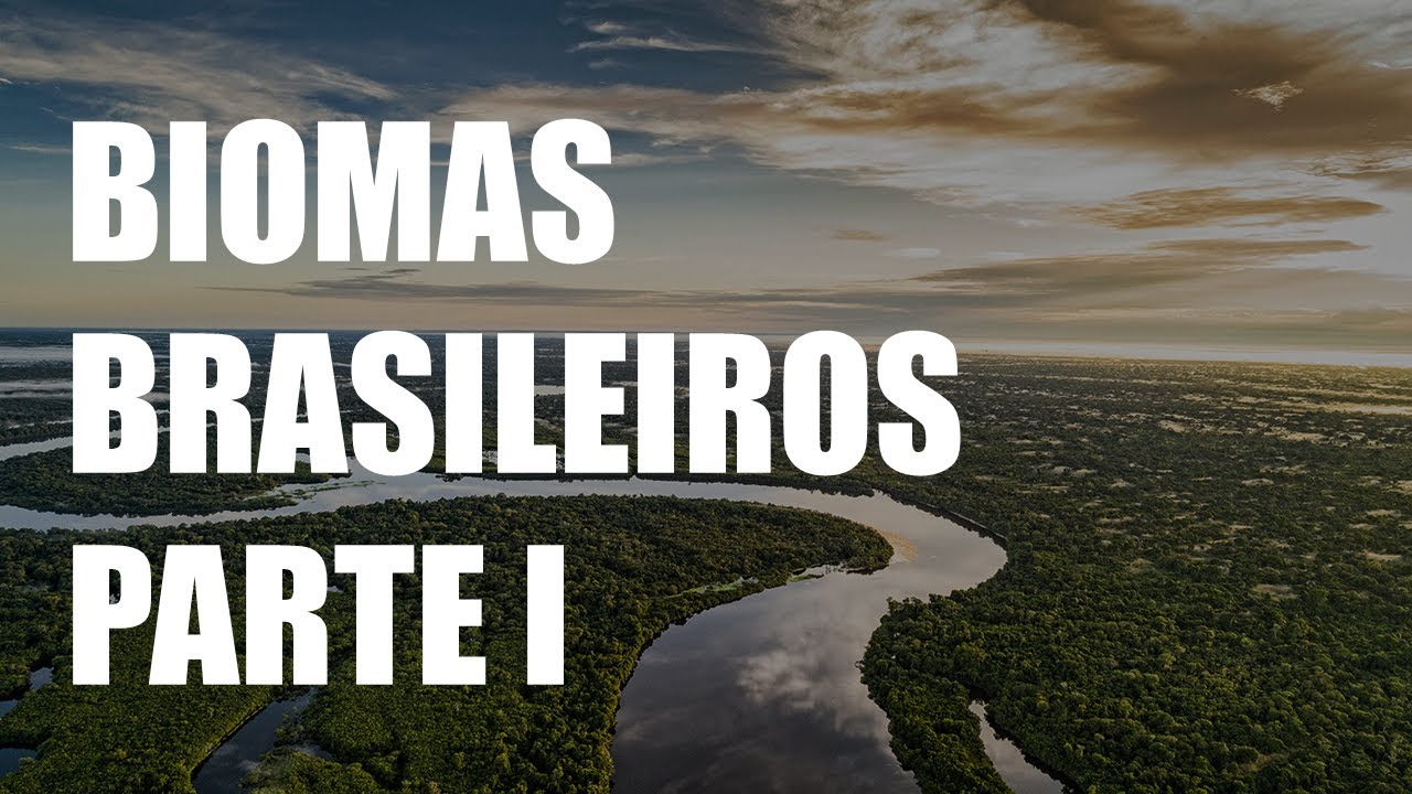Aula 07 - Biomas Brasileiros: Amazônia, Mata Atlântica e Caatinga