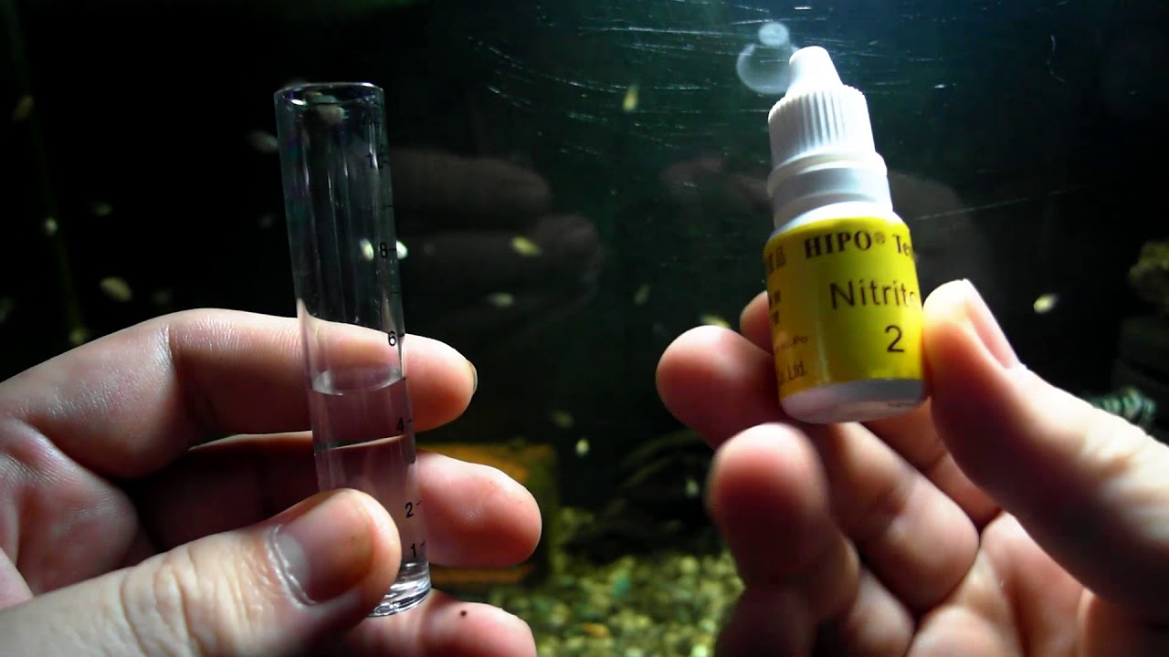 輕鬆養孔雀魚 養水到底養好了沒?讓數據給你看是否能養魚了~