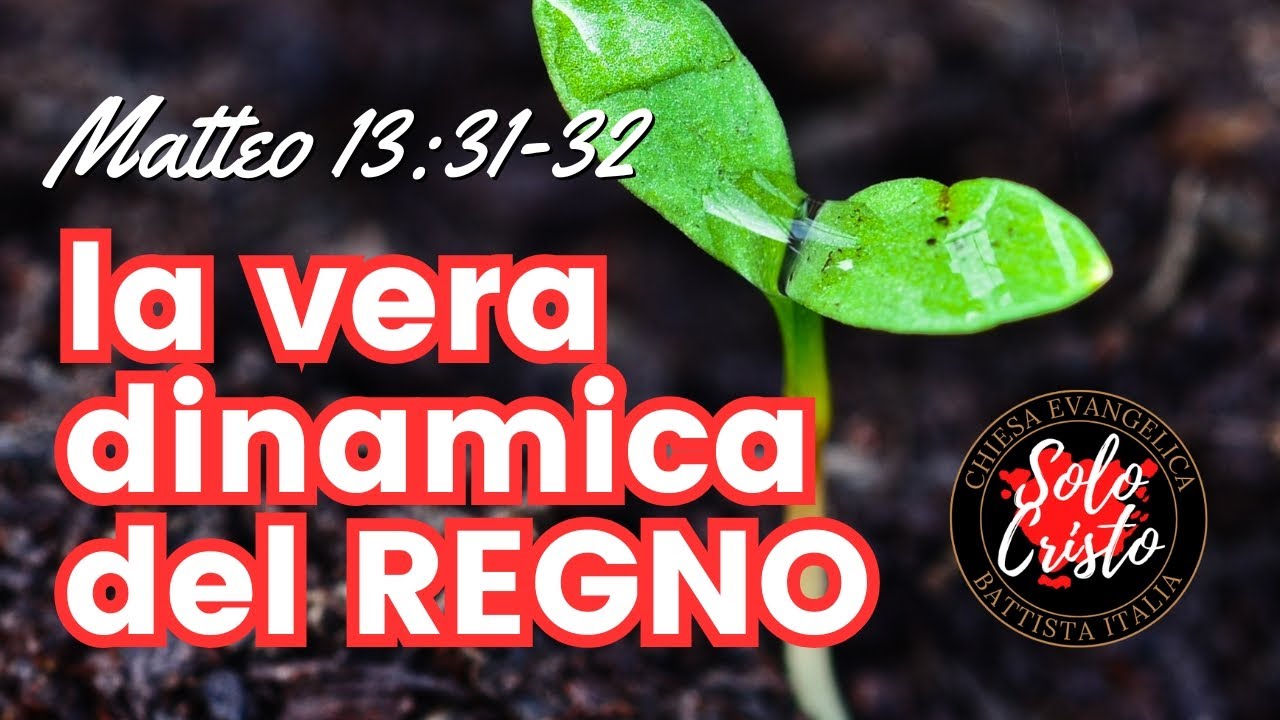 Vangelo secondo Matteo 13:31-32 la vera dinamica del Regno di Dio