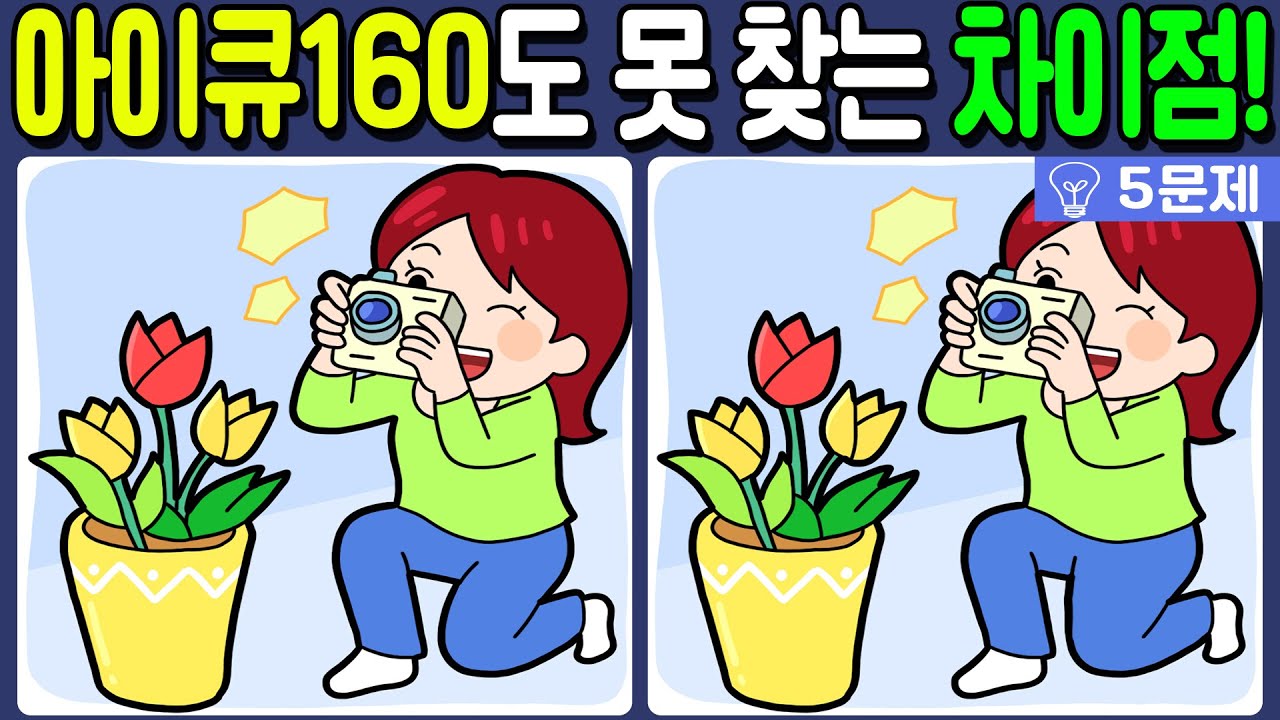 【다른그림찾기/치매예방】아이큐 160도 못 찾고 당황하는 차이점 3가지!🔥【 find difference / 두뇌운동/3개 찾기/5문제/#545】
