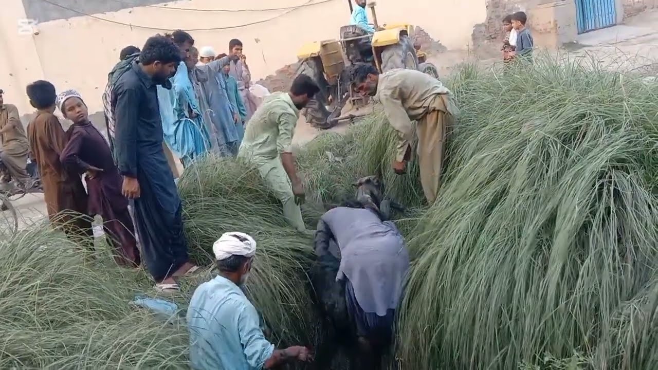 Aaj ki video mukammal dekhna | Javeddarkhanofficial 