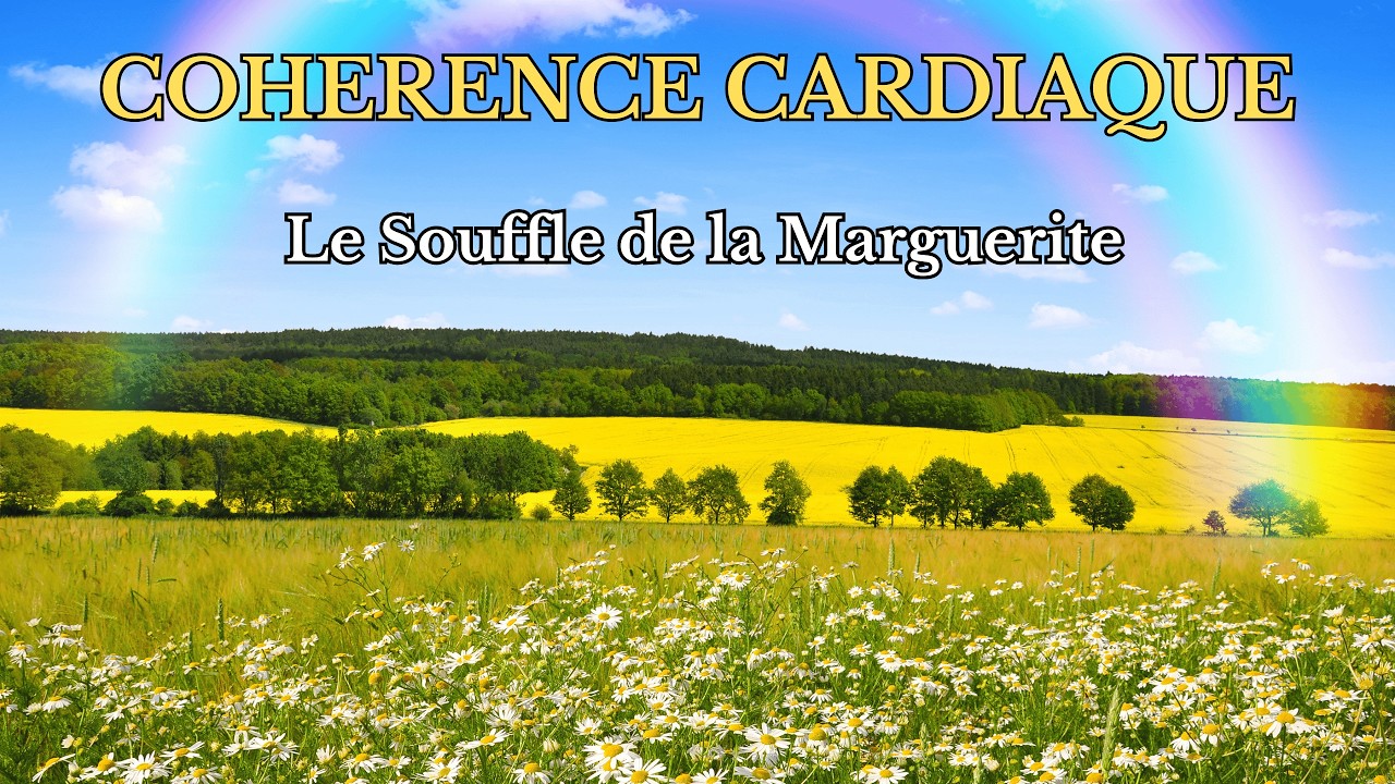 🌼 La Marguerite du Cœur | Cohérence Cardiaque pour Apaiser l’Amour & les Émotions
