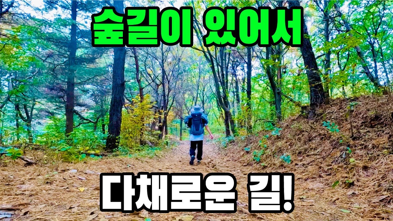 트레킹 코스를 찾고 있다면! DMZ평화의길 6코스, 7코스 [ep.4]