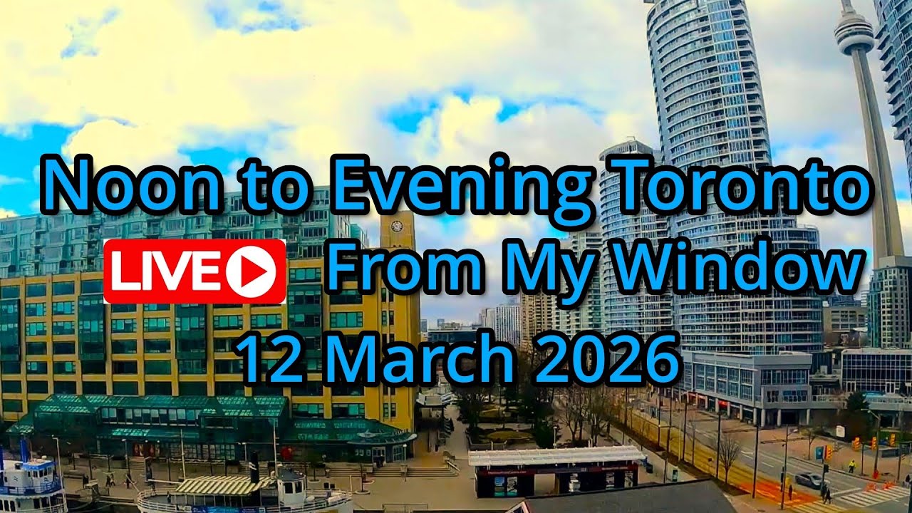 🔴Toronto Window Cam LIVE HD | MaoChow Adventure 12th March 2026 Noon to eve vibes