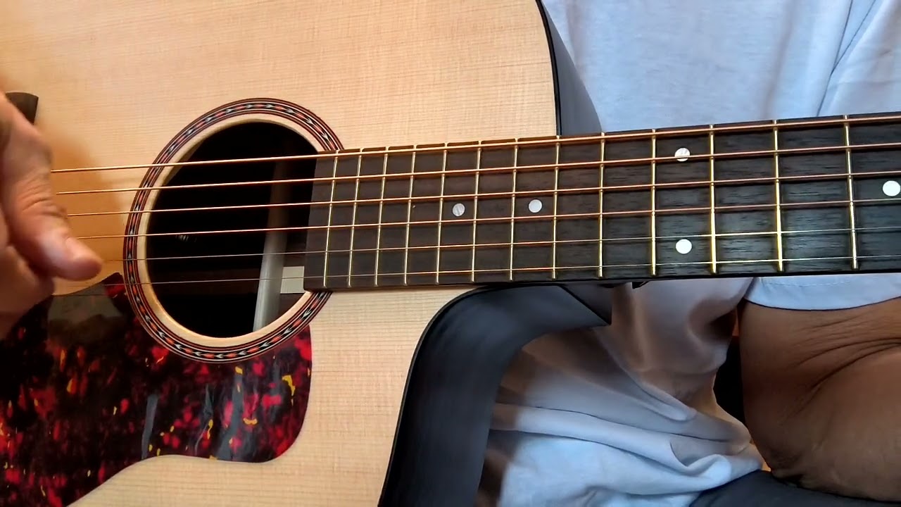  Акустика Newton Gypsy Road часть 2