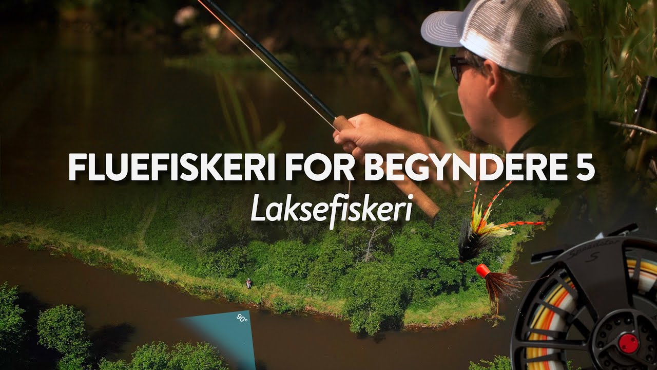 FLUEFISKERI FOR BEGYNDERE 5 - Fluefiskeri efter laks