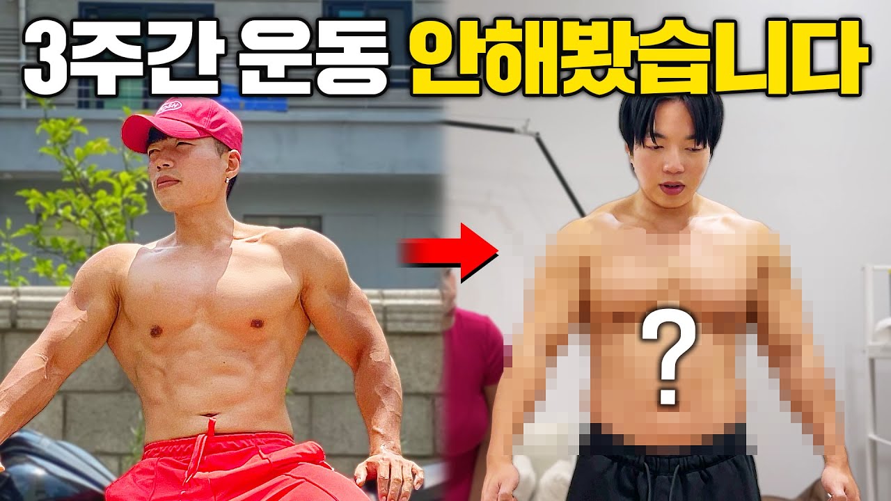 근육이 녹아버린 핏블리 근황.. 3주동안 운동쉬면 생기는 몸의변화 【VLOG1】