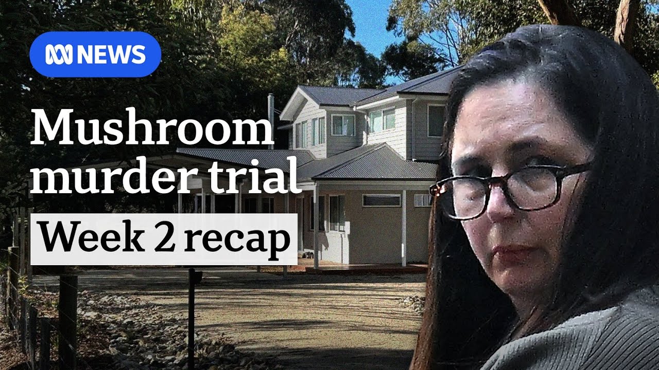 What happened at Erin Patterson's mushroom murder trial in week two | ABC NEWS
