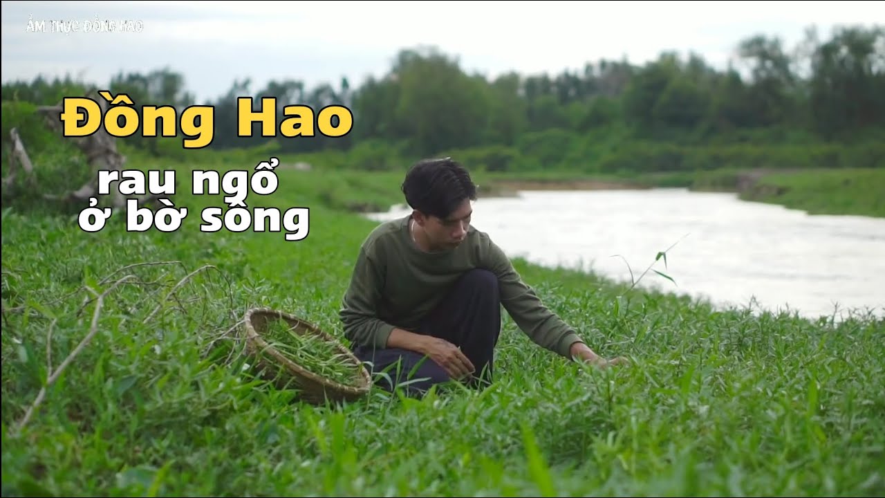 Hái rau ngổ cặp bờ sông về làm hai món om lươn và xào thịt bò cho bữa cơm  thật ngon và bình dị
